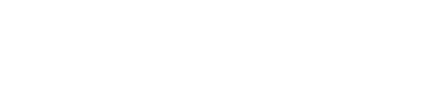Launch Testnity Logo