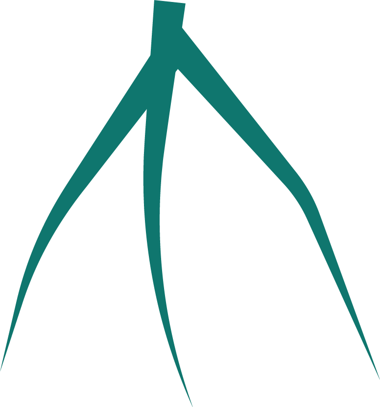 Start Indirect Relation Quiz 1